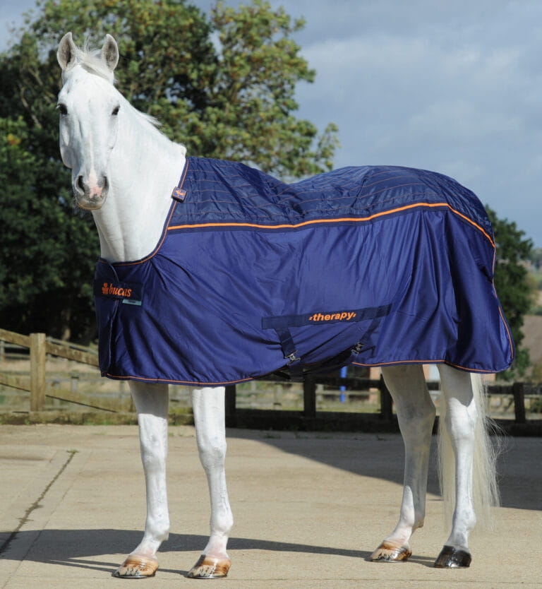 Derka Bucas Therapy Cooler Navy/Orange - Cavalo
